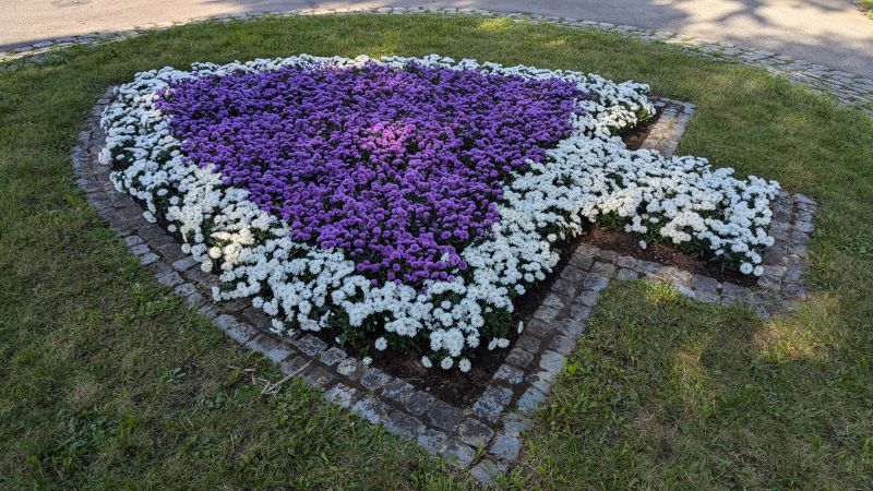 Blumenschmuck (29.08.2024) Blumenschmuck
