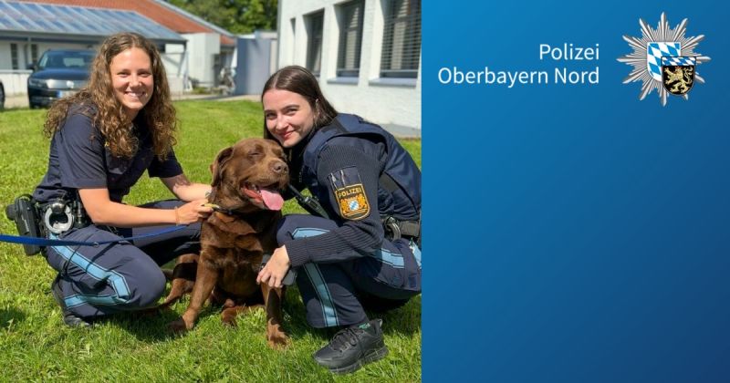 Nachrichtenbild