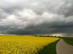 Wetterkolumne Bild