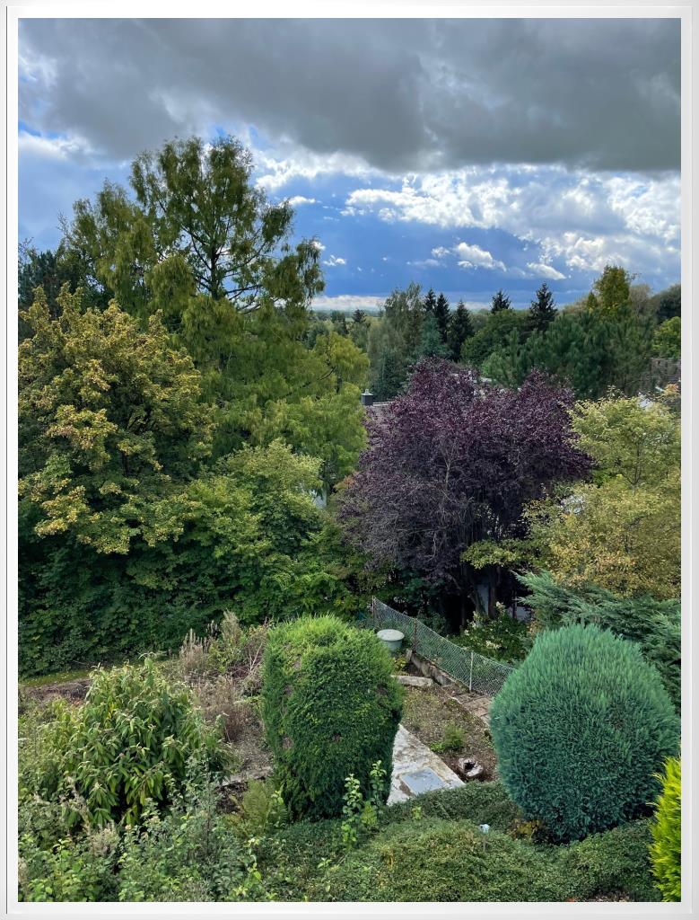 Gartenbereich