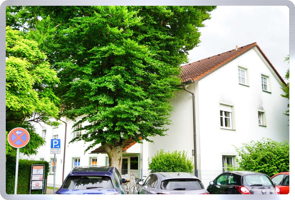 Immobilienbild