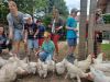 Hühner füttern: Die Kinder füttern die Hühner mit Hirse und beobachten genau.