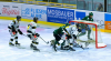 Das Bild zeigt das 1:0 durch Maximilian Forster im Spiel Erding Gladiators gegen die EA Schongau. Endstand 10:0. Bild zur freien Verwendung. Bildquelle: Erding Gladiators