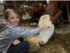 Quelle: Angelika Warmuth StMELF - Schulklassen erleben während der Aktiv-Wochen „Frühling.Erlebnis Bauernhof“ hautnah den Alltag auf einem landwirtschaftlichen Betrieb – vom Füttern der Tiere bis zum Erkun- den der Hofarbeit.