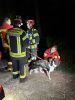 Quelle: Ffw Au