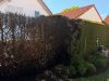 Quelle: Ffw Forstern