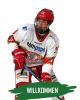 Quelle: Erding Gladiators