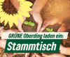 Quelle: Bündnis 90/Die Grünen