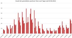 Anzahl der gemeldeten positiven Tests nach Tagen