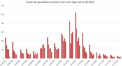 Anzahl der gemeldeten positiven Tests nach Tagen
