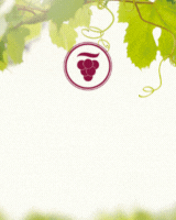 <a href=//www.ed-live.de/out.php?wbid=4257 target=blank></a>