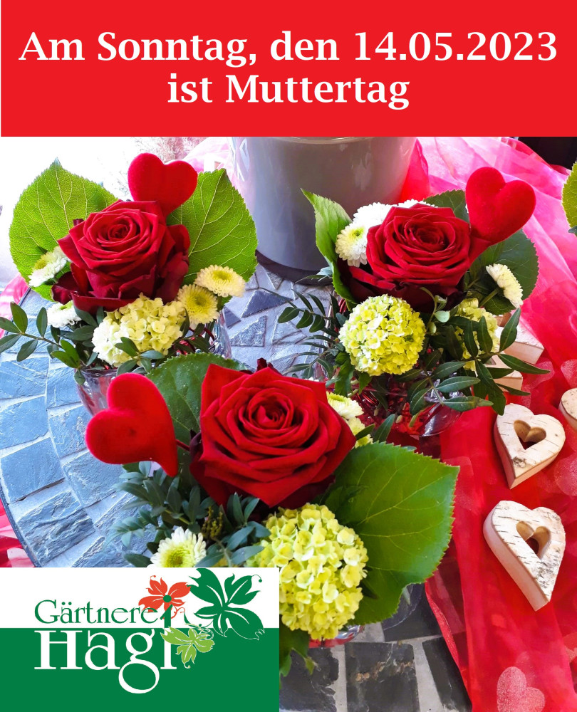 <a href=//www.ed-live.de/out.php?wbid=2862&url=https://www.gaertnerei-hagl.de/ target=blank></a>
