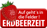 <a href=//www.ed-live.de/out.php?wbid=2157&url=region_erdbeeren target=blank></a>