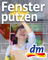 Teaser Fenster putzen