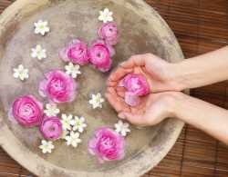 Naturkosmetik im Moosgrund - Kosmetik & Wellness Ottilie Pusl` Logo